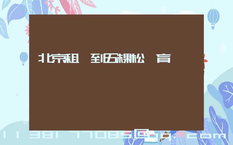 北京租車到五棵松體育館