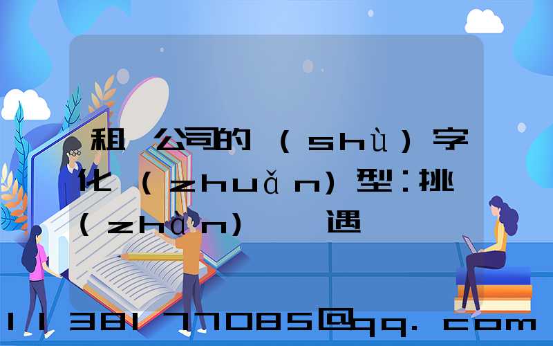 租車公司的數(shù)字化轉(zhuǎn)型：挑戰(zhàn)與機遇