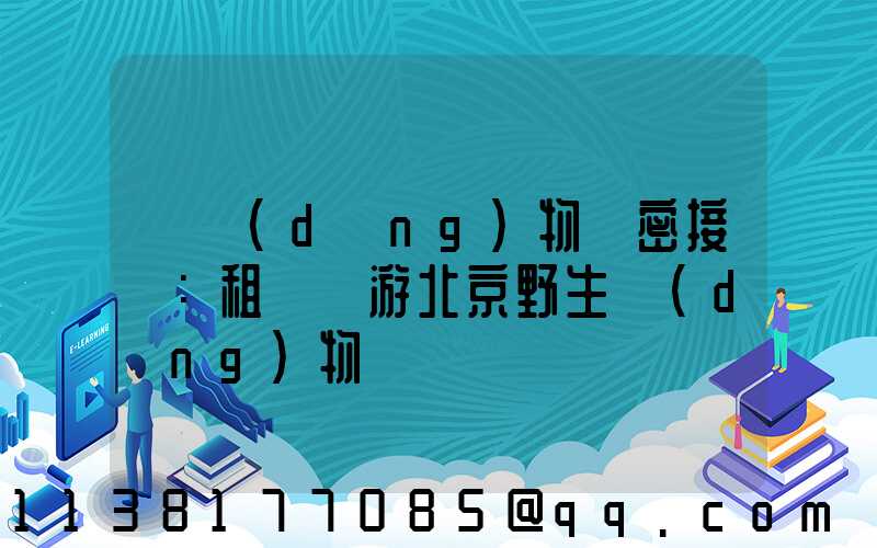 與動(dòng)物親密接觸：租車暢游北京野生動(dòng)物園