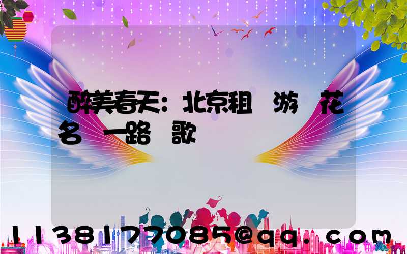 醉美春天：北京租車游賞花名勝一路頌歌